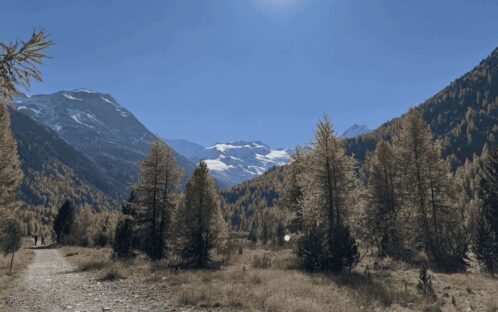 Voyage en Suisse, entre émerveillement et colère