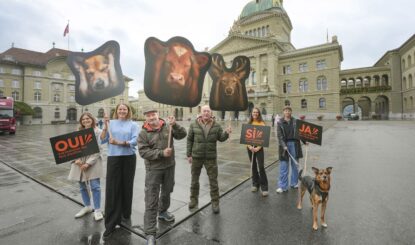 Das Volk will es weniger knallen lassen
