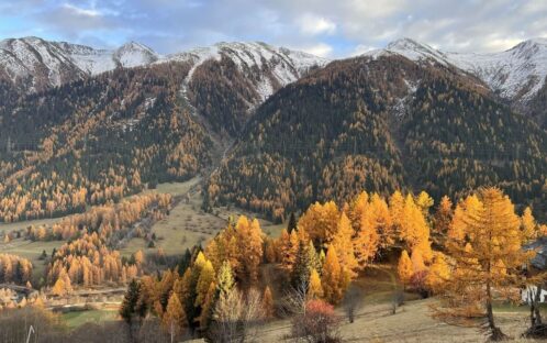 Helvetia Nostra schützt die Landschaft in Blitzingen (Goms, VS)